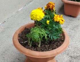 閲覧注意!?春の訪れを待ちながら