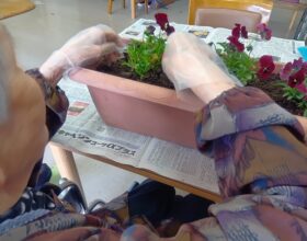 ご利用者の花植と花に囲まれて気づいた疑問
