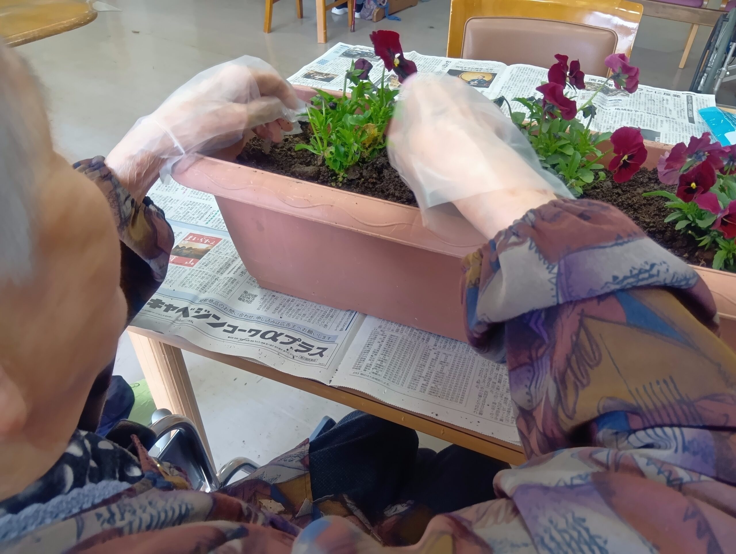 ご利用者の花植と花に囲まれて気づいた疑問